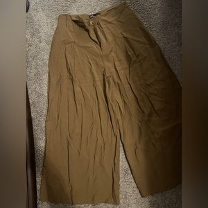 Zara Culottes Pants